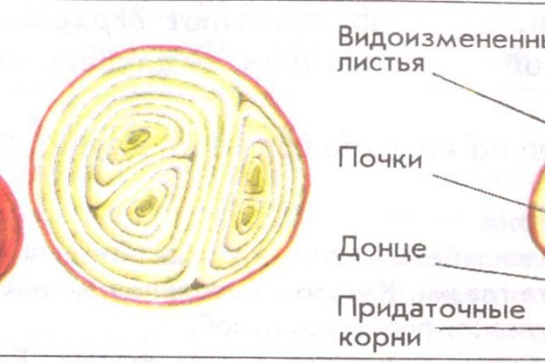 Кракен ссылка fo feng crmp ru