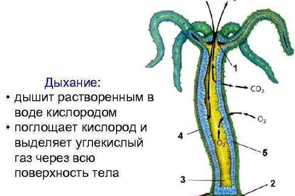 Кракен драг