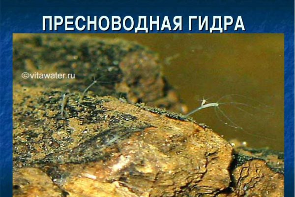 Кракен маркет наркотики