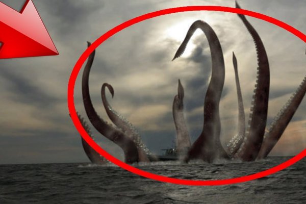 Кракен даркнет kraken link24 info