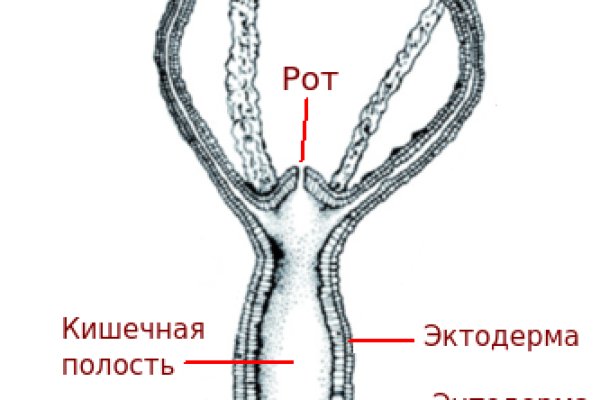 Kra37.cc