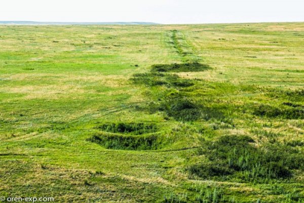 Ссылка в магазин на кракен