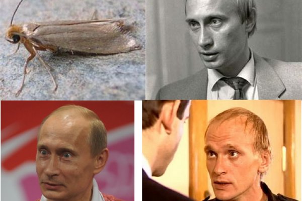 Кракен тор ссылка магазин
