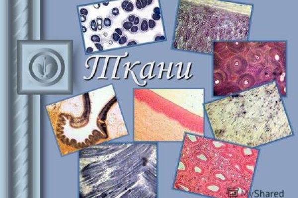 Кракен вход рабочий